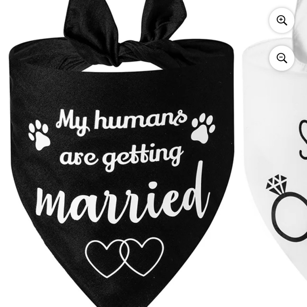Black Dog Bandana - My Humans Are Getting Married